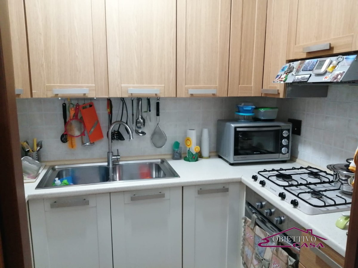Appartamento ROMA affitto  Roma  Obiettivo Casa